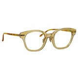 Atkins Optical A D-Frame in Saffron