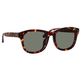 Edson D-Frame Sunglasses in Tortoiseshell