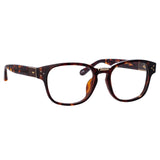 Carlos Optical D-Frame in Tortoiseshell